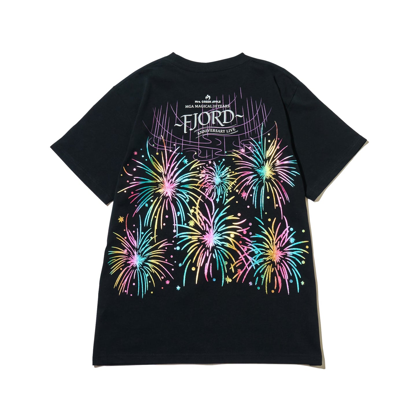 FJORD Logo T-shirt / Black