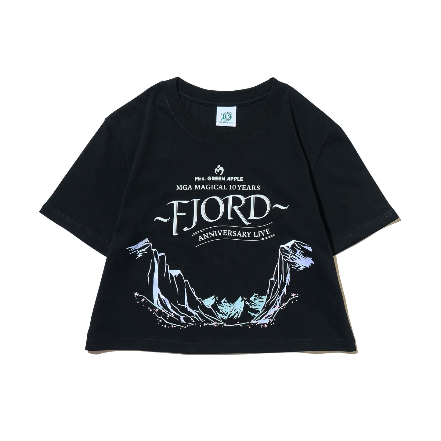 FJORD Logo T-shirt / Black