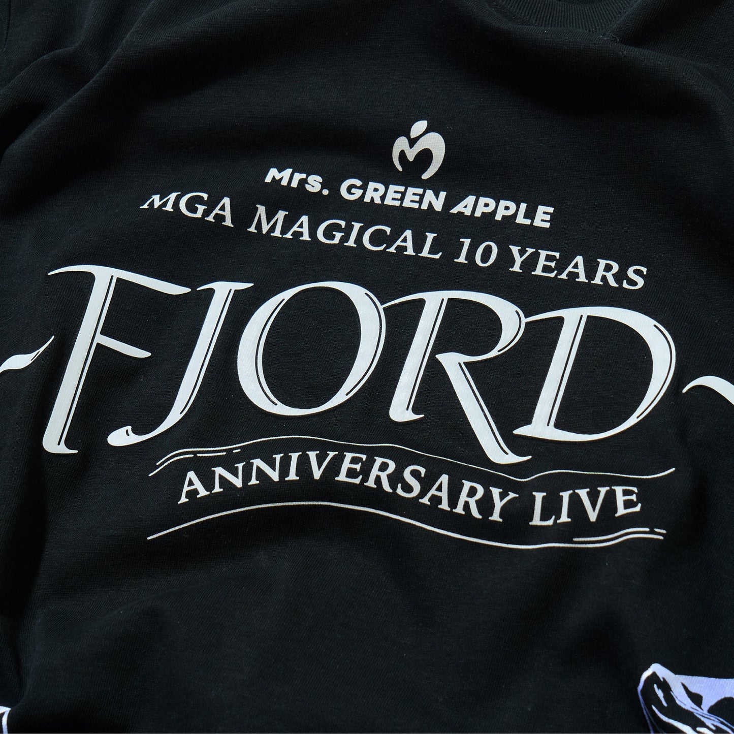 FJORD Logo T-shirt / Black