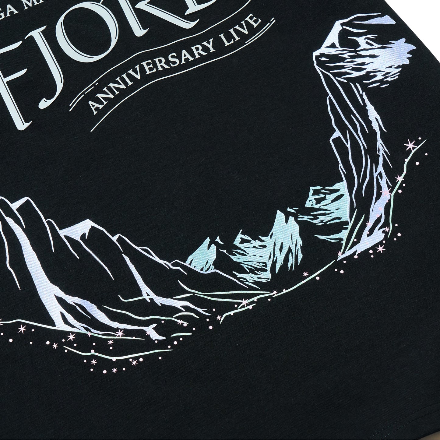 FJORD Logo T-shirt / Black
