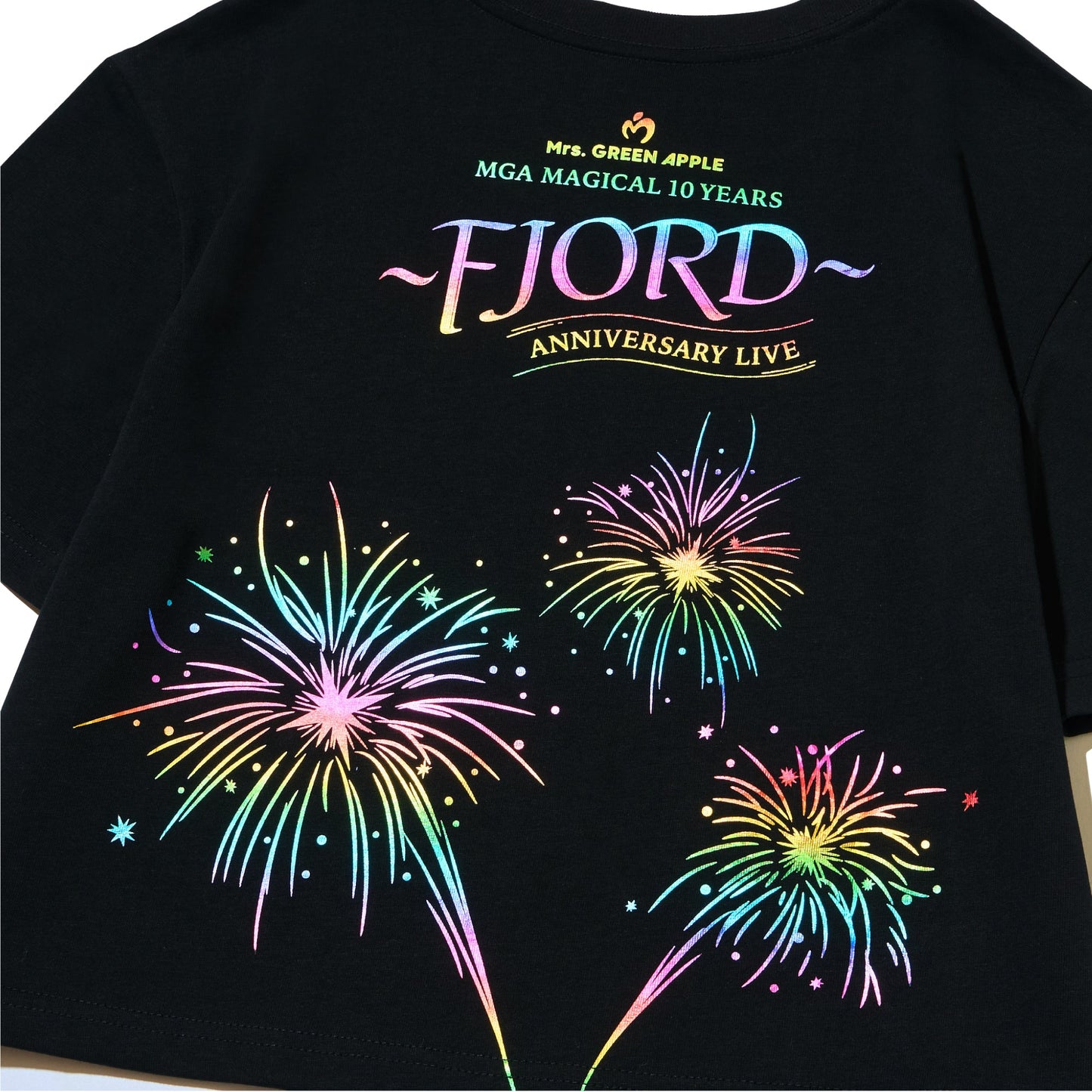 FJORD アニバーサリーTシャツ / ブラック