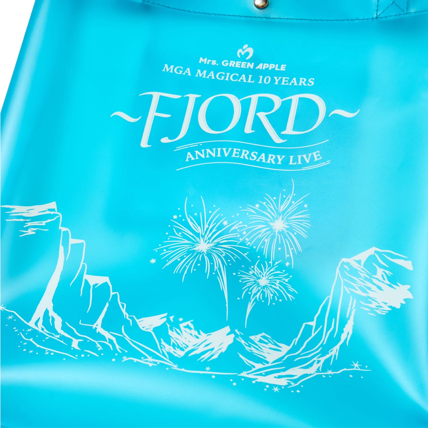 FJORD Clear Tote Bag