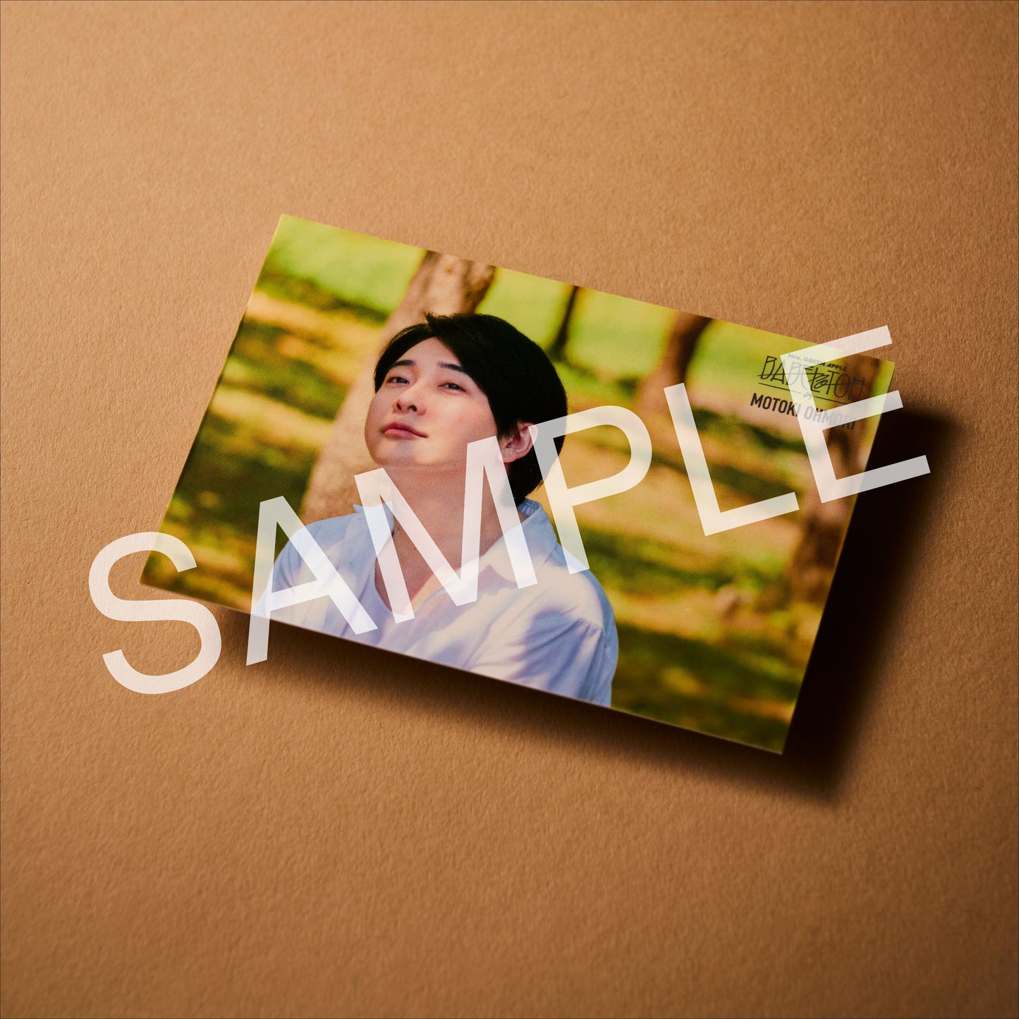 MGA Special Photo Card Set “BABEL no TOH”