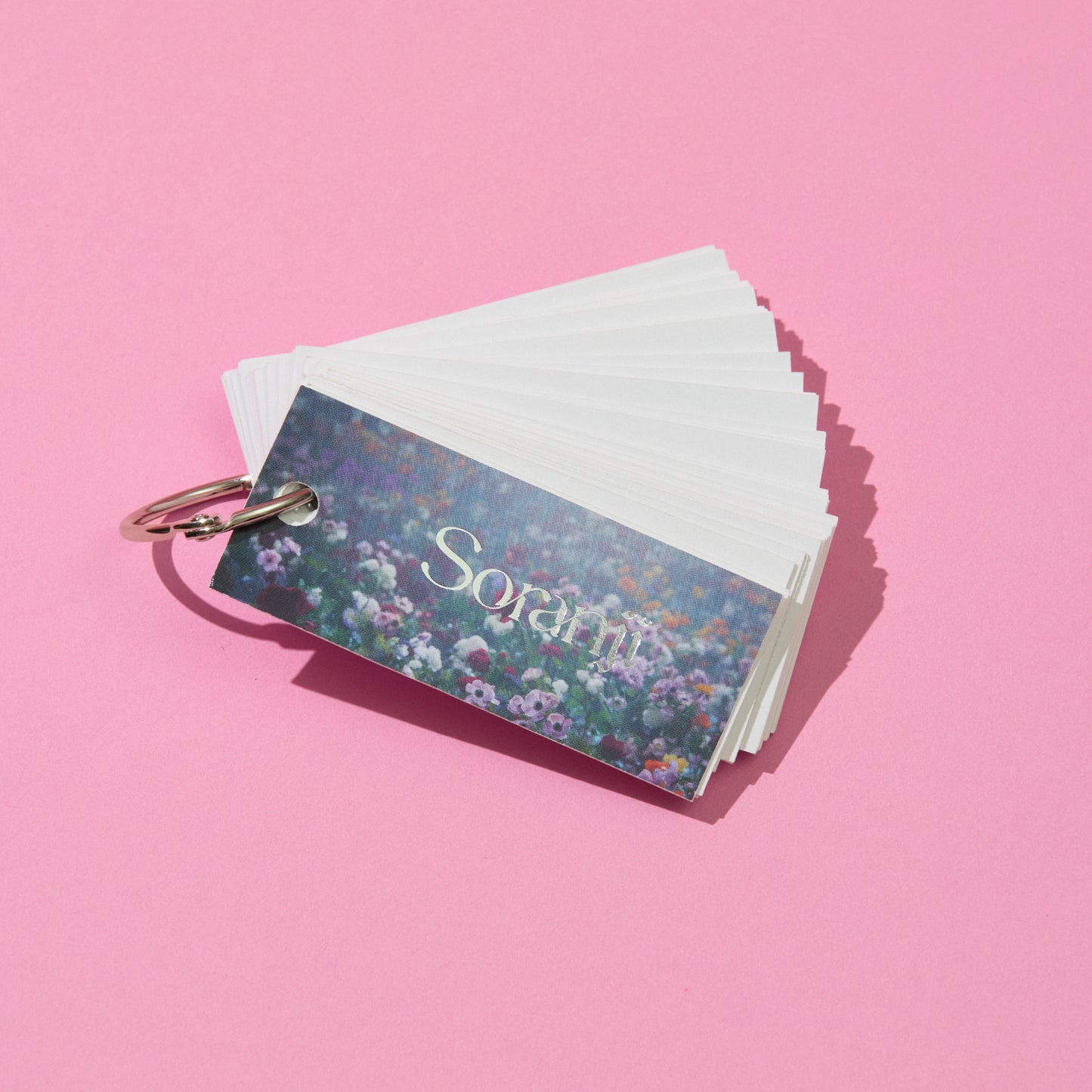 Wonder Museum Soranji帳