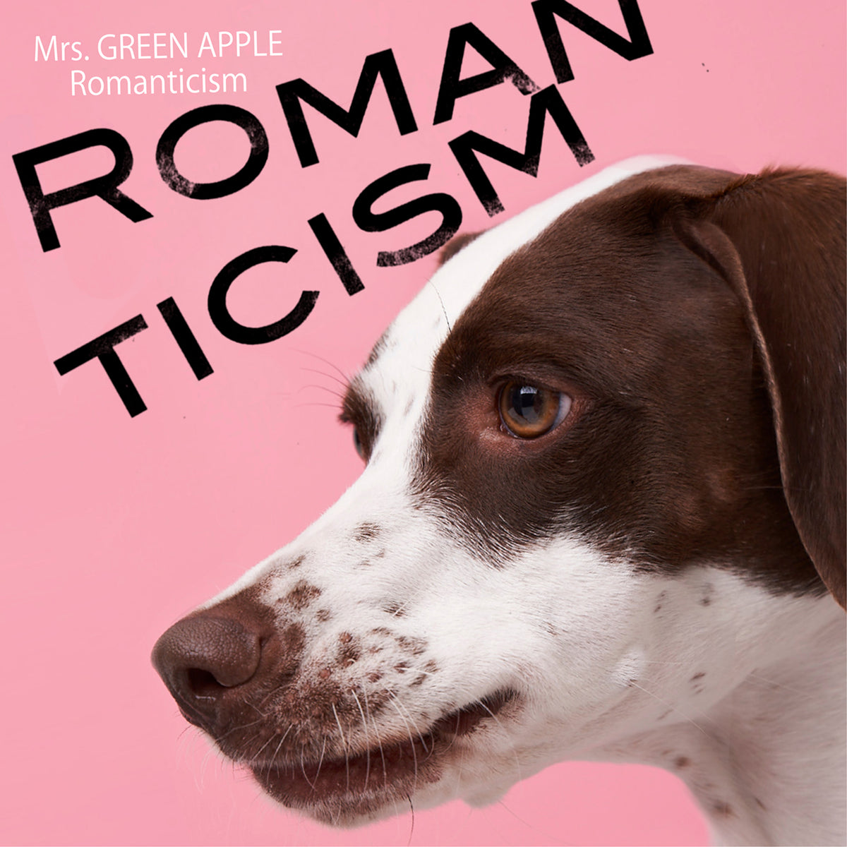 Romanticism [Standard Edition][CD MAXI]