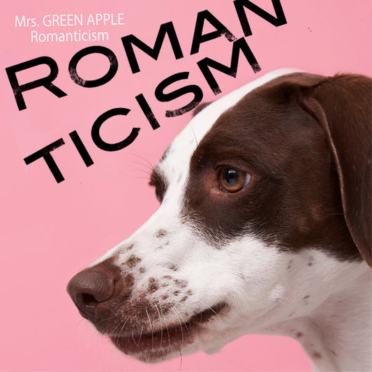 Romanticism [Standard Edition][CD MAXI]